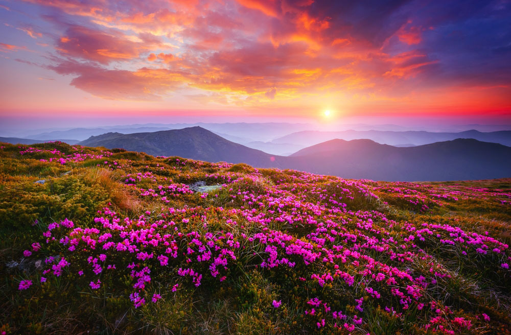 Как арендовать квартиру в Буэнос-Айресе